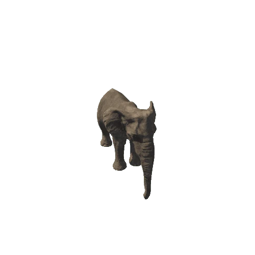 elephant_female_fv_rm (1)